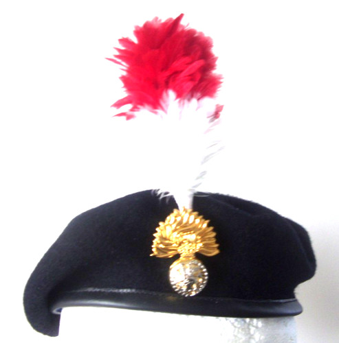 Königliches regiment der - kÖnigliches,