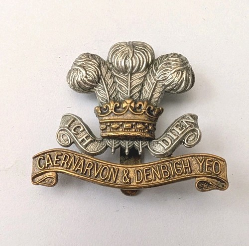 Caernarvon denbigh yeomanry - denbigh,